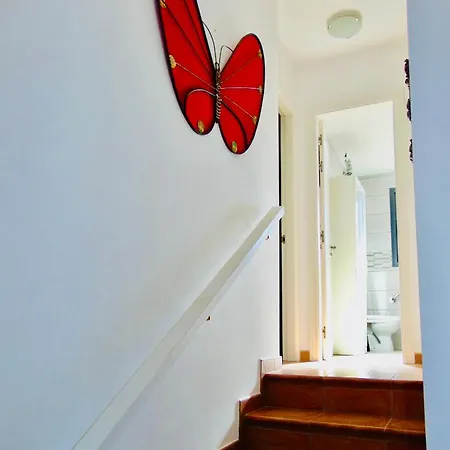 Casa Olivia Fuerteventura